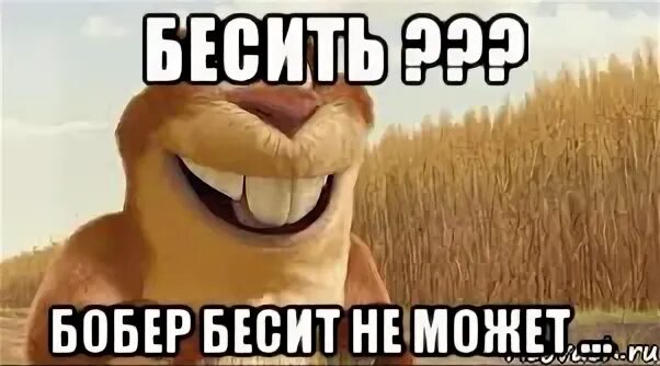 Девушка бобер из мема а что если бобр приедет со своей девушкой, Мем А что если (Киану Ривз) Рисовач