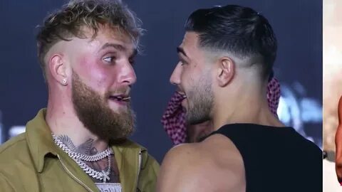 Paul fury