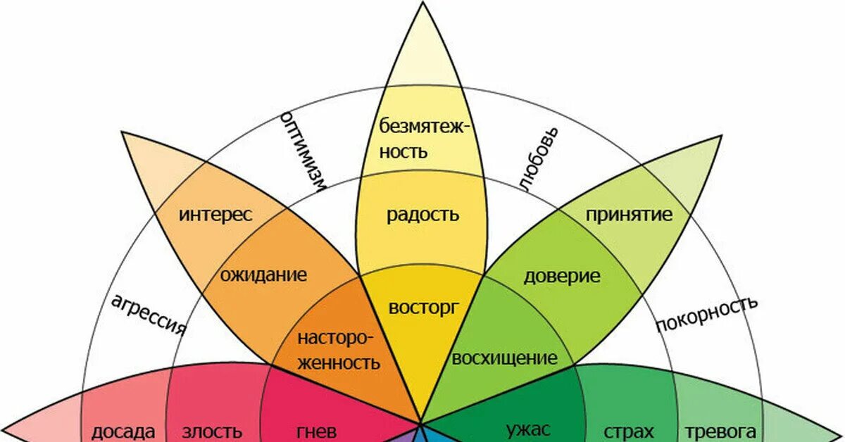 Цвета вызывающие доверие