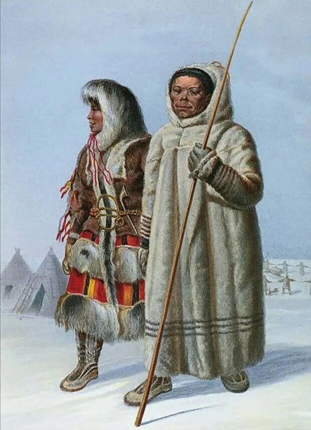Остяки-самоеды. Сибирские ненцы. Самодийцы-самоеды. Народы Сибири ненцы в 17 веке. Северные народы называли