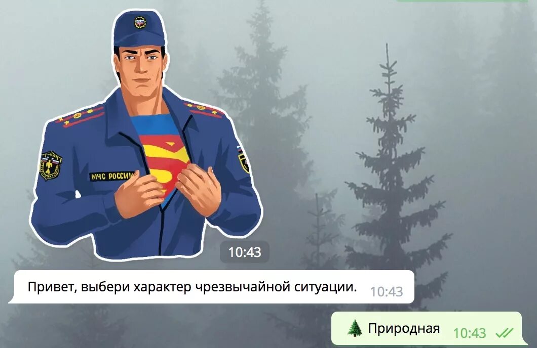 Бот чс