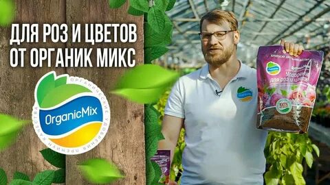 Органик микс антизима отзывы