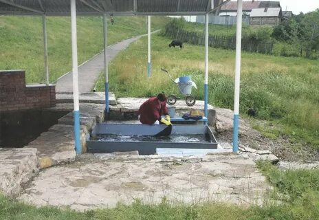 Село черемшанский погода