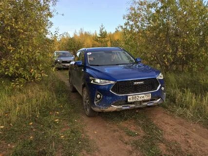 Хавал ф7 на бездорожье