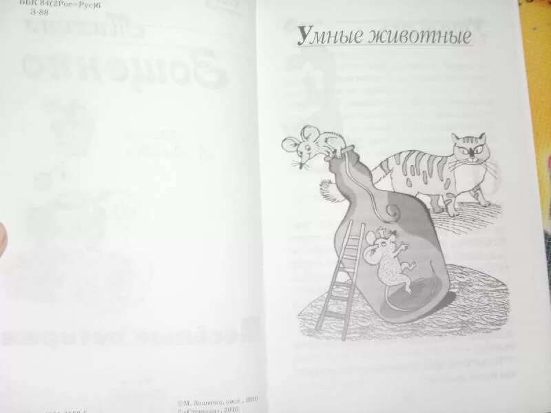 Умные животные зощенко аннотация. Рассказы о минькином детстве. зощенко умные животные читательский дневник. зощенко рассказы о минькином детстве.