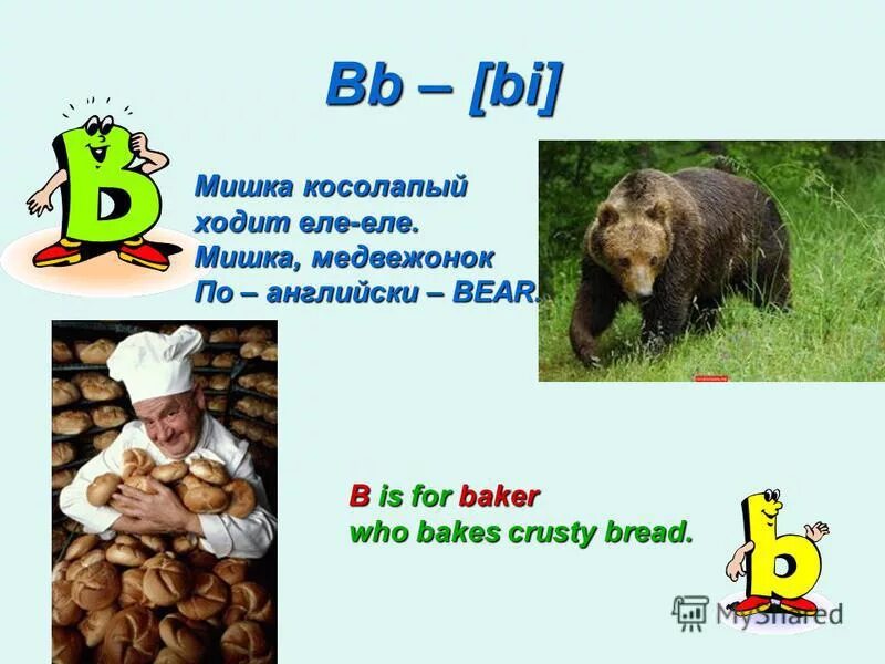 Как на английском будет медведь. Мишка по английскому. Медведь по английски. Медведь по английскому на проект. Медвежонок на английском.