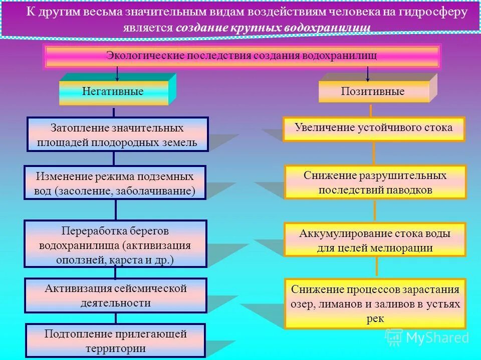 экологические последствия хозяйственной деятельности человека