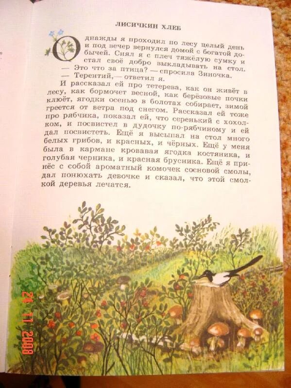 Пришвин листья. Пришвин листья. Птицы и листья читать. Осинкам холодно. М пришвин осеннее утро текст.