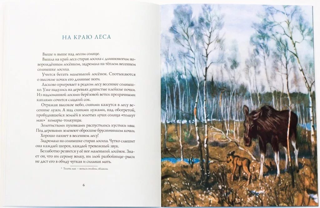 Осиновое озеро ульяновск. Вышла на край леса. Край леса поселок. Вышла на край леса старая лосиха. Чалдайский ленточный бор.