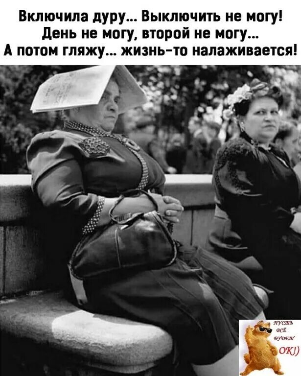 включить дурочку. включи дура что ли. я идиотка картинки. глупый мем. включи дура что ли.