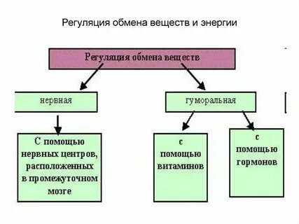 Биологическую роль обмена веществ