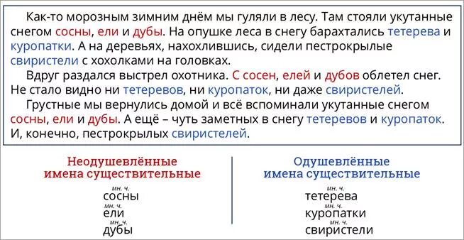 Число существительного шорты. Гуляли в лесу падеж существительного. свиристель склонение существительного. свиристель род существительного. свиристель какого рода существительное.