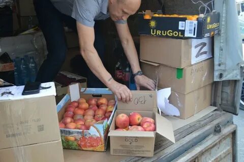 Железногорск гуманитарная помощь