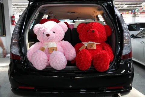 Bear car