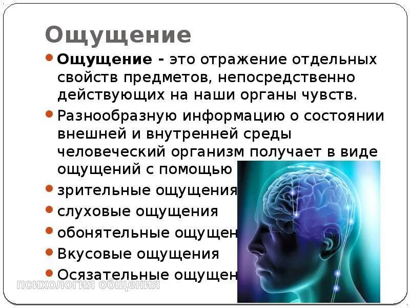 Что значит ощущается. Ощущение это в психологии. Ощущение в психологии презентация. Ощущение в психологии картинки. Ощущение это кратко.