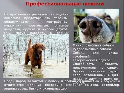 На протяжении десяти лет