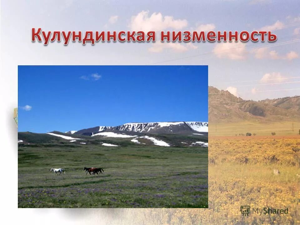 Преобладающие формы рельефа кулундинской равнины. Перечислите основные формы рельефа. Рельеф суши равнины. Преобладающие формы рельефа кулундинской равнины. Преобладающие формы рельефа кулундинской равнины.