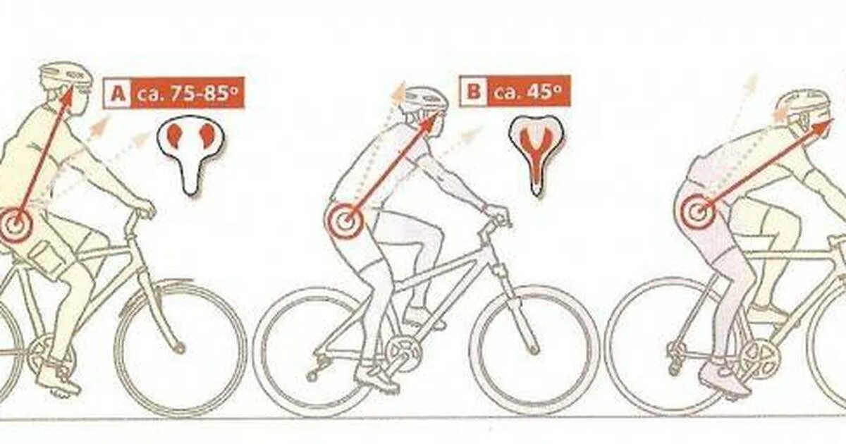 Катание на велосипеде какие мышцы. Шоссейный велосипед посадка схема. Измерить седалищные кости для велосипеда. Ширина седла велосипеда. Части седла велосипеда.