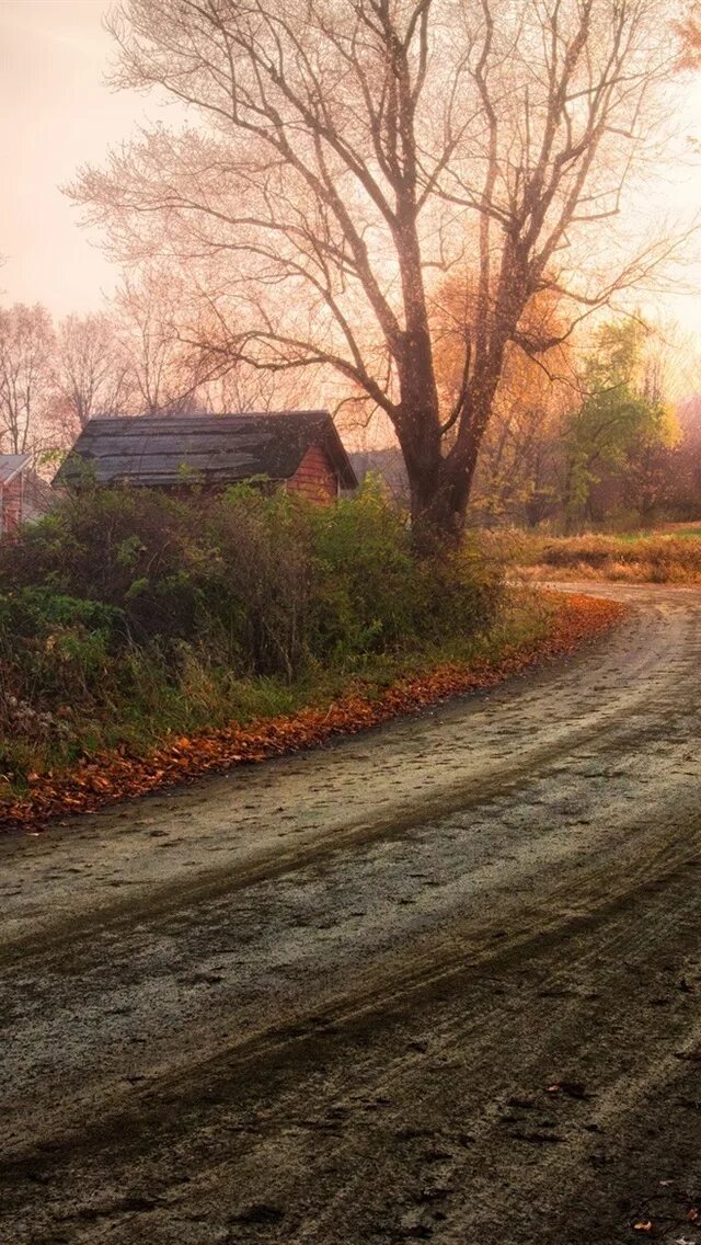 Осень в деревне. Сельская дорога. Дорога в деревне. Поздняя осень в деревне. Осень дорога в деревне