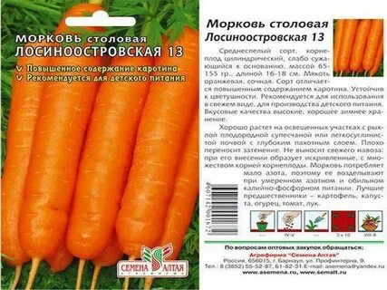 Лучшие сорта моркови для подмосковья открытый