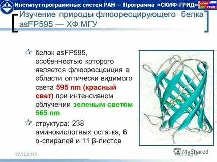 Институты системы ран