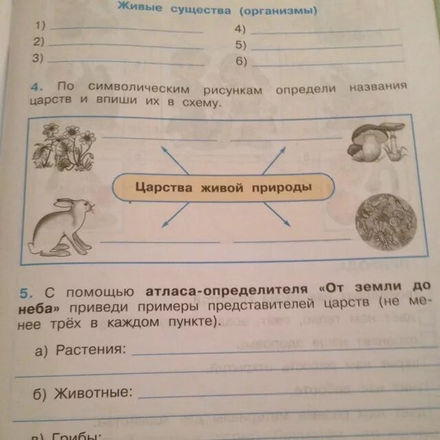 С помощью интернета приведи примеры. Атлас определитель царства живой природы. Представители Царств живой природы атлас определитель. Атлас определитель от земли до неба царства живой природы. Атлас определитель от земли до неба царства живой природы 3 класс.