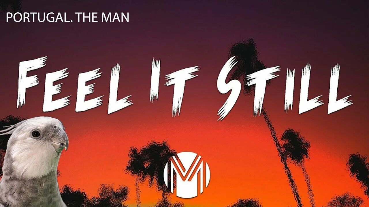 Португал мен feel it still. Фил ит стил текст. The man. Feel it still реклама. Песня the man feel.