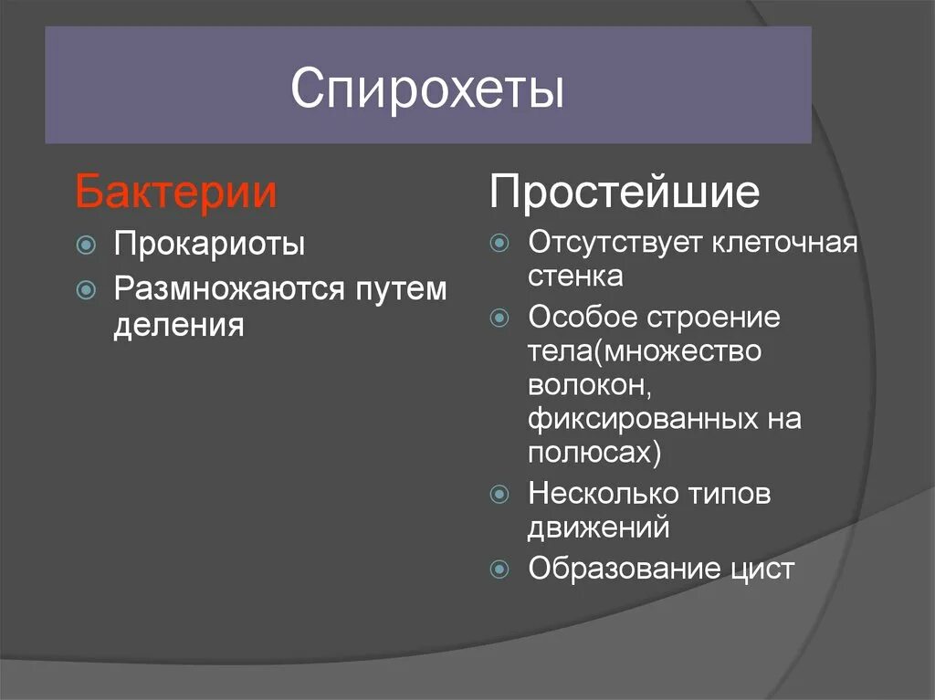 Спирохеты сходство с бактериями. Спирохеты Общие признаки с бактериями и простейшими. Спирохеты сходство с бактериями и простейшими. Сходства и различия спирохет и простейших. Простейшие сходства и различия