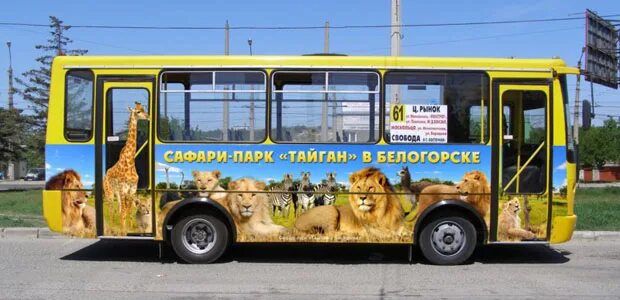 Транспорт какой до зоопарка. Сафари парк Тайган автобус. Симферополь Тайган автобус. Автобус зоопарк. Реклама зоопарка на автобусе.