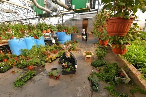 Федеральный научный центр овощеводства