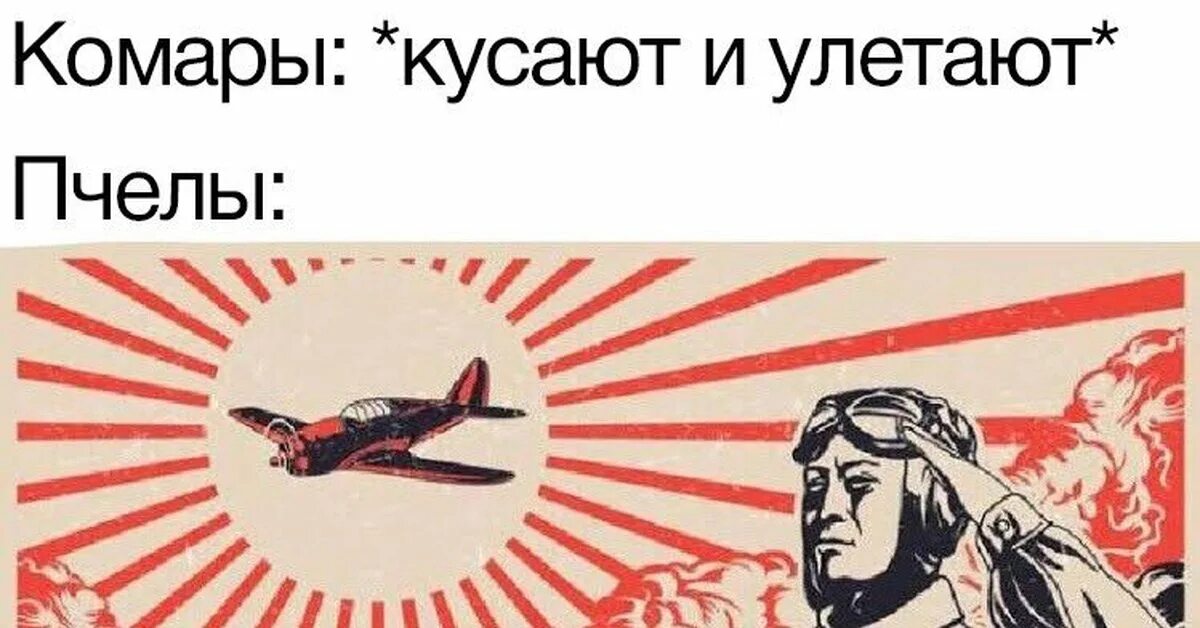Японский император камикадзе мем. Император японии камикадзе. Камикадзе мем. Мемы про японцев камикадзе. Камикадзе д мемы.