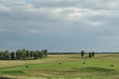 Село перелески