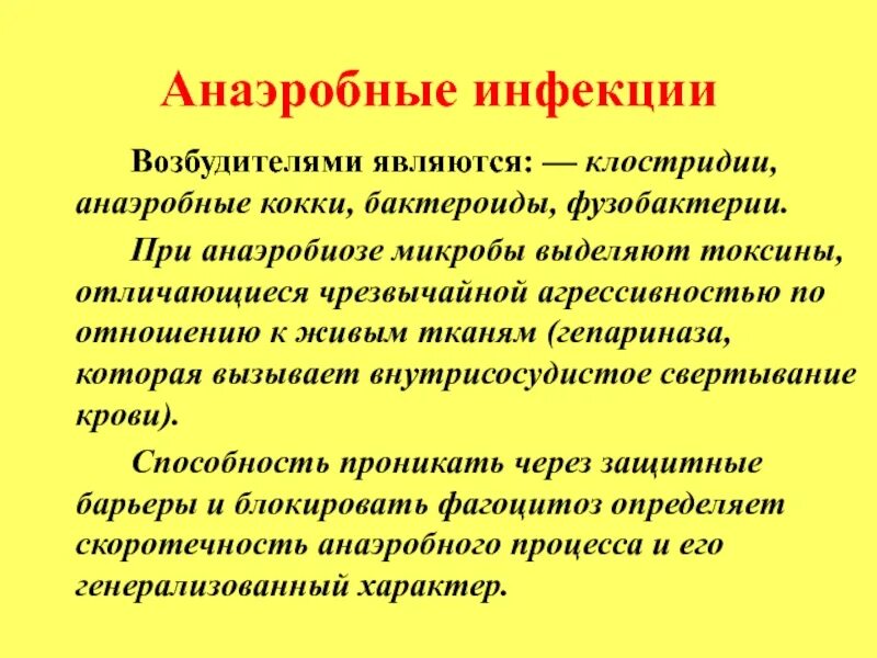 Грамположительные бактерии грамположительные бактерии. Анаэробные микроорганизмы. Аэробные бактерии. Облигатно-анаэробные грамположительные кокки. Сущность анаэробиоза.