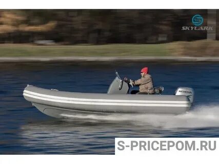 Rib s