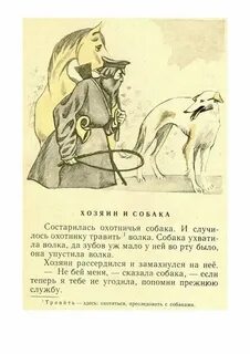 Басня толстого про яблоню