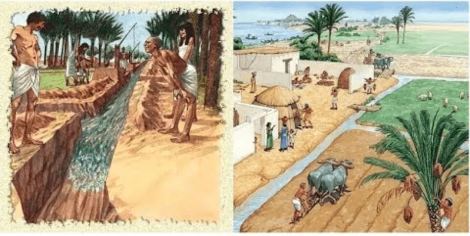 Орошение полей в древнем. Ирригационная система древнего Египта. Система ирригации в древнем Египте. Орошение земли в древнем Египте.