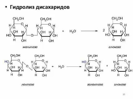 Уравнение реакции мальтозы