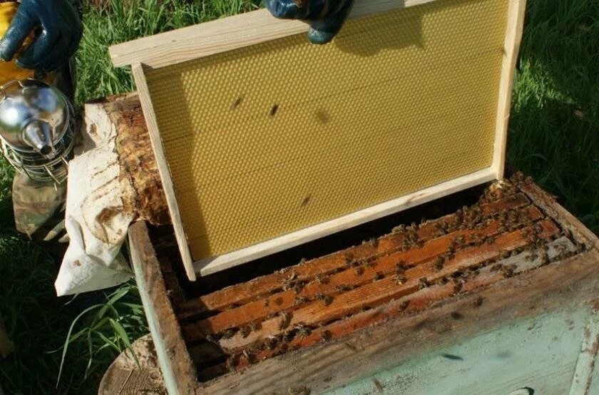 Можно ли ставить ульи. Рамка с вощиной для пчел. Расширение гнезда пчел весной вощиной. Рамки для пчеловодства. Рамки для пчелиных ульев.
