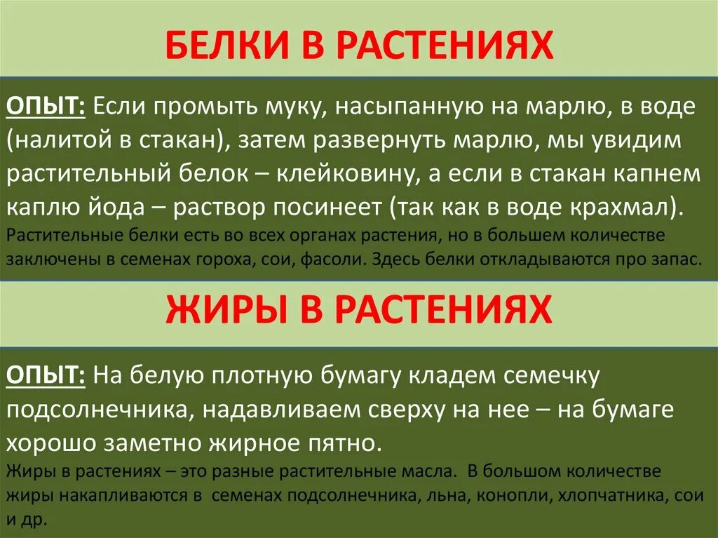 Белки в растениях. В каких растениях белок. Как обнаружить белки в растениях. Обнаружения в растениях белков. Белки можно обнаружить