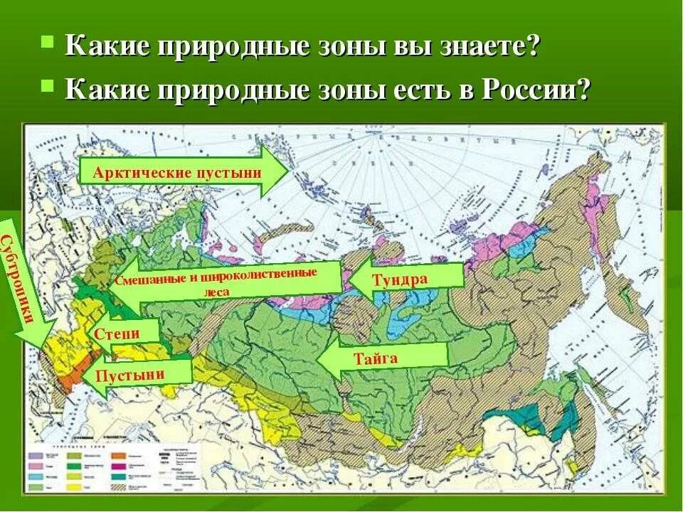 Названия природных зон которые встречаются