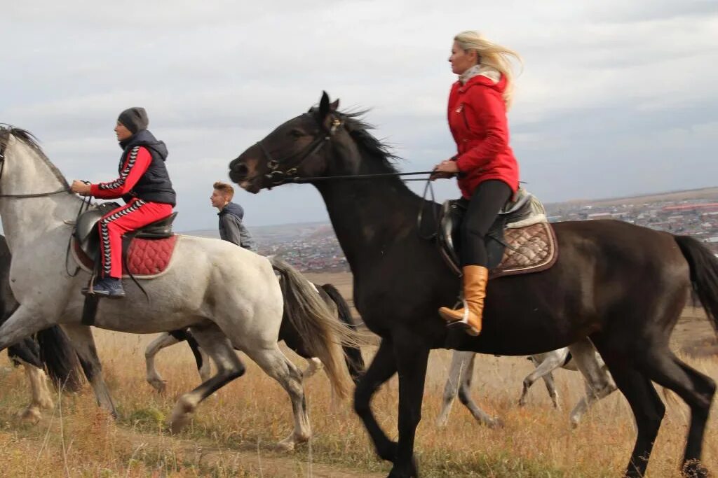 пути на коне