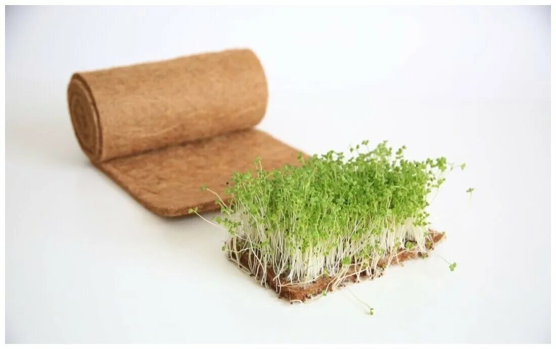 Микрозелень на бумажном полотенце. Льняной коврик для микрозелени. Субстрат для микрозелени. Кокосовый субстрат для микрозелени. Льняной коврик для микрозелени.