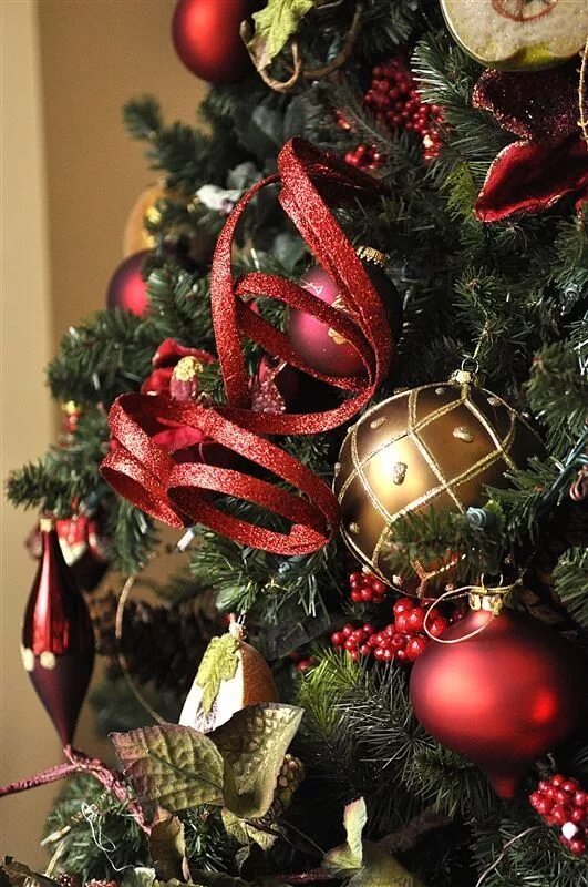 Наряжаем елку. Новогодняя елка золото с красным. Украшаем елку. Новогодняя елка с красными шарами. Елки украшенные шарами