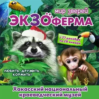 Выставка животных бийск созвездие
