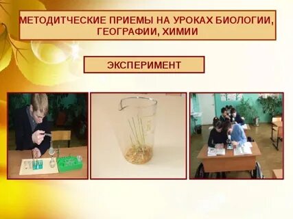 Эксперимент на уроках биологии