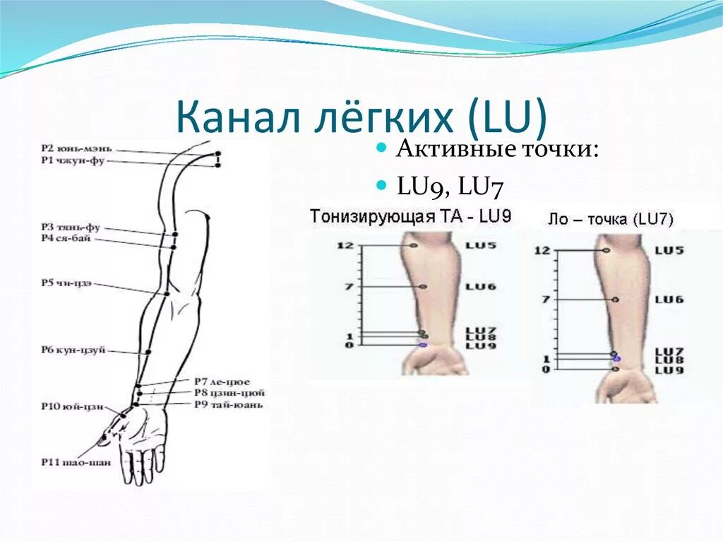 1 июля точках. Точки акупунктуры легких. Меридиан легких канал легких биологически активные точки. Акупунктурные точки Меридиан легкого. Канал легких акупунктурные точки.