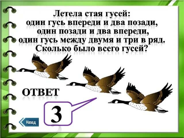 Загадка летела стая птиц. Летела стая гусей один Гусь впереди а два позади ответ. Задача про гусей один впереди два позади. Стая гусей летит. Задача летела стая гусей один впереди два позади.