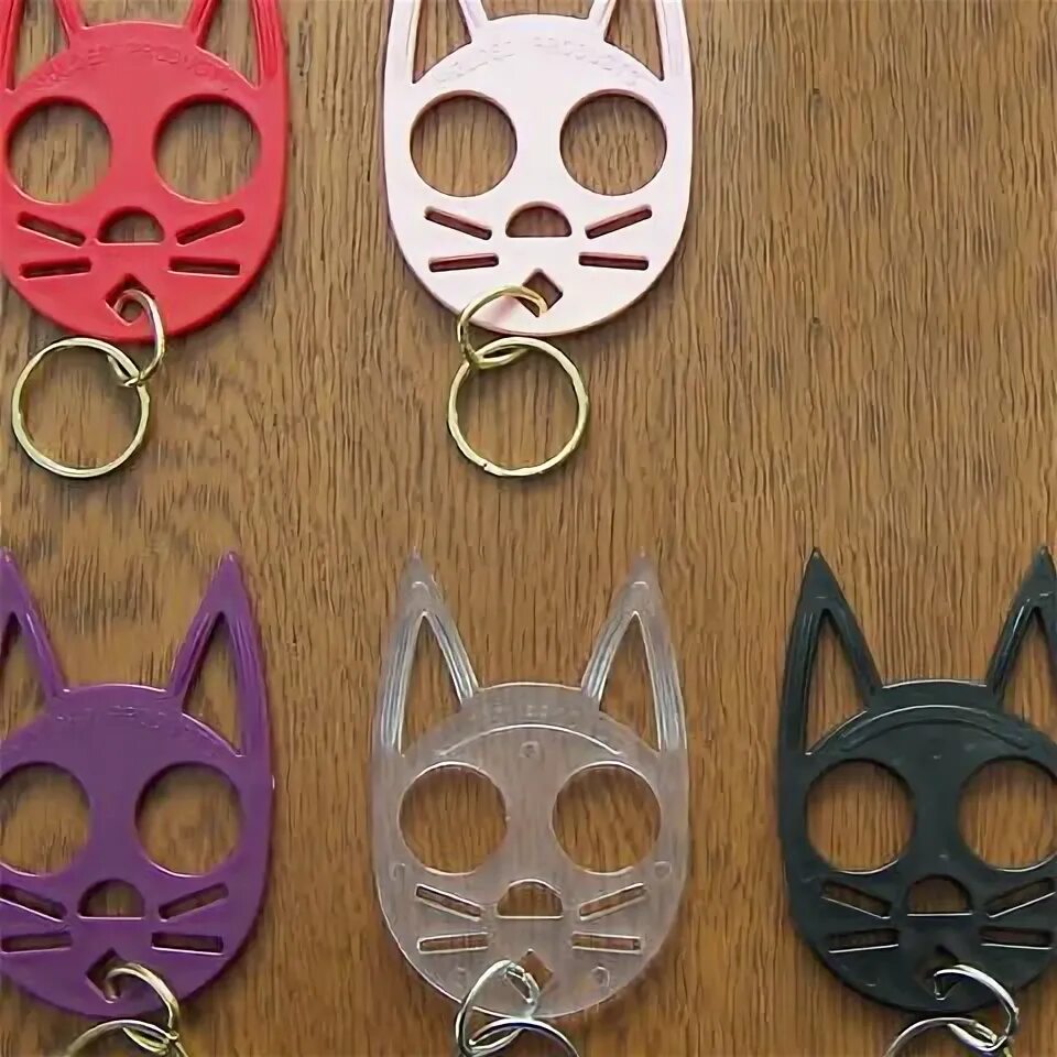 Дикий лесной кот. Cunning. Wild kat. Wild kat. Дикие кошки надпись.