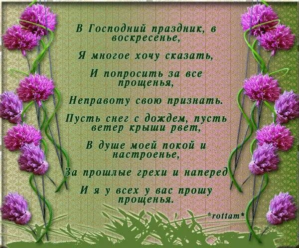Просить прощения своими словами коротко