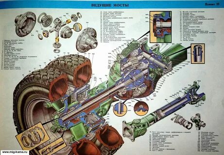 Жалаңаш жапон әйелдері